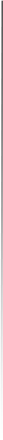 Grey Line