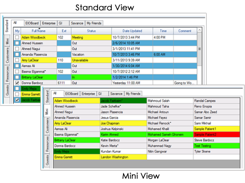 Standard & Mini View