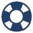 Lifeboat Accountability Icon