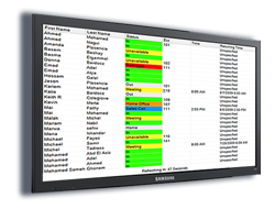 46" Enterprise Large Screen Display