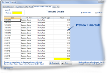 Preview Timsheets